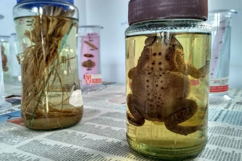 NICE Facilities photo 4